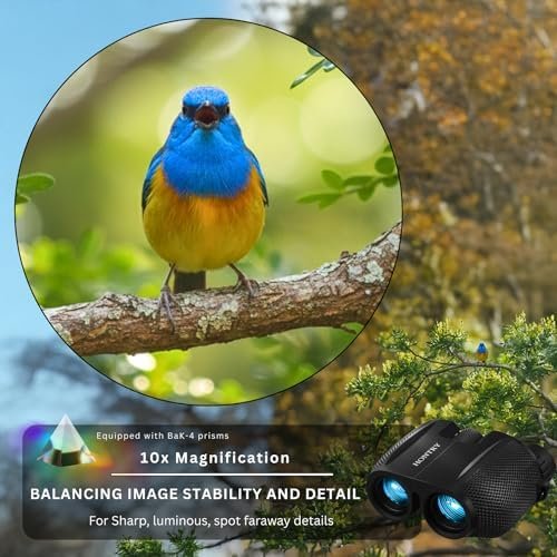 10x25 Compact Binoculars for Adults and Kids Bird Watching | Small Binoculars for Camping, Hiking, Travel, Safari, Concerts, Theatre, Sports, Cruising and Road Trip 3